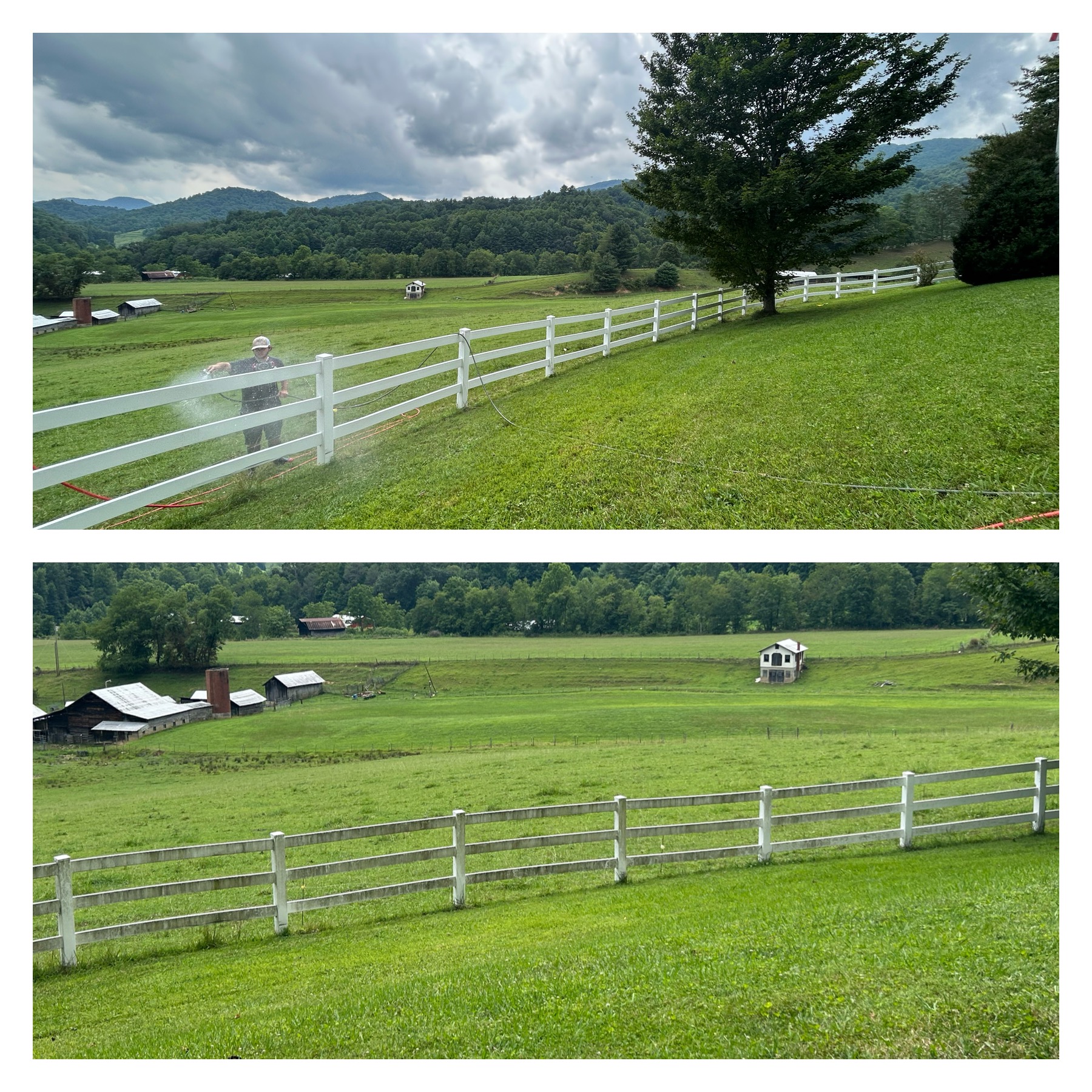 Marshall Pasture Fence Cleaning 